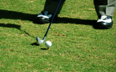 Why Did You Become a Professional Independent Meeting Planner?