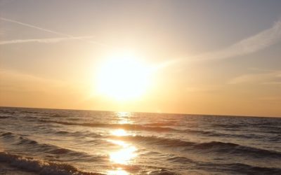 Hospitality Industry Professionals:  Reach Your Beach