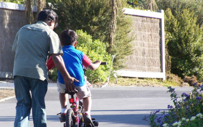 Hospitality Professionals: Lessons on Focus and Distractions